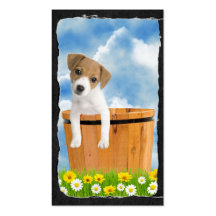 Cute Jack Russell puppy Business Cards