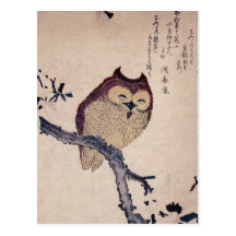 Cute Japanese Smiling Owl Post Cards