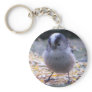 Cute Key Chain
