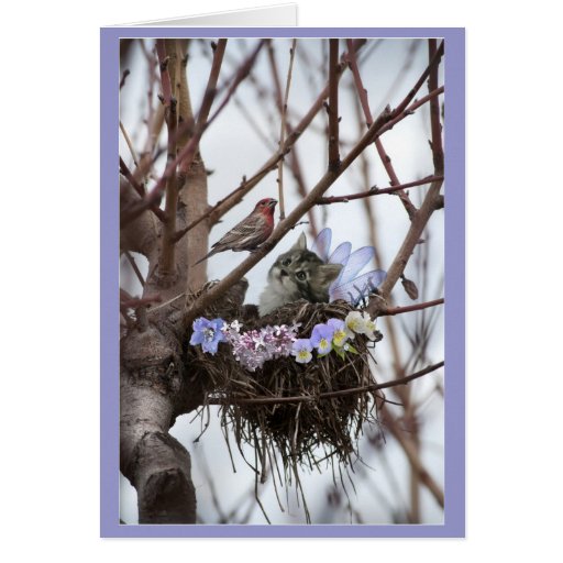 Cute kitten and bird nest Easter or Spring Greeting Card