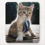 Cute kitten borrows your mouse. mousepads