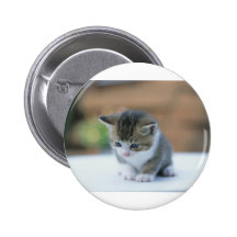 Cute Kitten Button