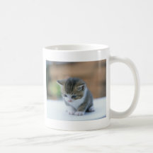 Cute Kitten Coffee Mug