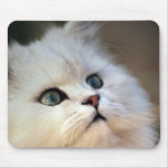 Cute kitten face mouse pads