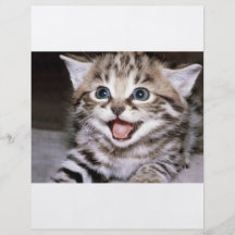 Cute Kitten Flyers