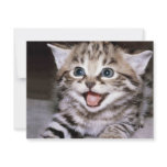 Cute Kitten invitations