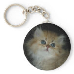 Cute Kitten  Keychain Key Chain