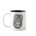 Cute kitten mugs