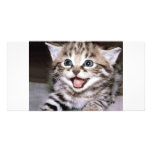 Cute Kitten photo cards