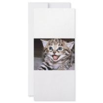 Cute Kitten Rack Card