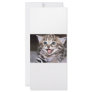 Cute Kitten Rack Card