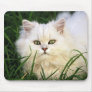 Cute Kitten resting Mouse Pad