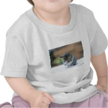 Cute Kitten Shirt