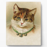 Cute kitten with bells on necklace - for cat lover plaques