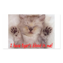 Cute Kitten with Charlie Sheen quote