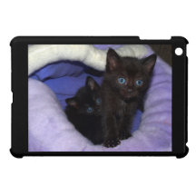 Cute Kittens iPad Mini Case