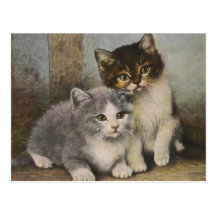 Cute Kittens Postcards