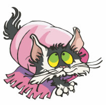 cute kitty cat wrapped in blanket photo cut out