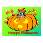 Cute Kitty Halloween Pumpkin Postcard