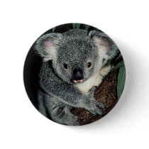 Cute Koala Bear Pins