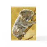 Cute...Koala Bear...Card!