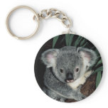 Cute Koala Bear keychains