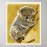 Cute...Koala Bear...Poster and Print!