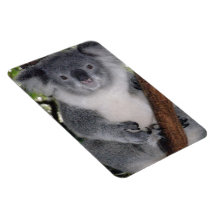 CUTE KOALA BEAR VINYL MAGNET
