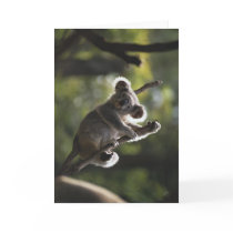 Cute Koala Climbing Greeting Card