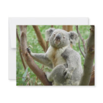 Cute Koala Invite