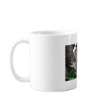Cute Koala mugs