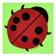 Cute Ladybug Personalized Announcements