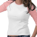 Cute Ladybug Shirts