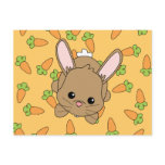 Cute Lil' Bunny postcards