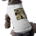Cute Lion Cub pet clothing