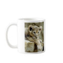 Cute Lion Cub mugs