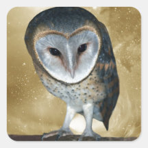 Cute little Barn Owl fantasy Stickers