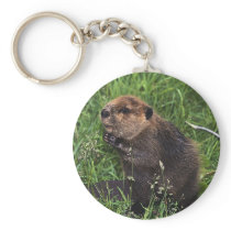 Cute Little Beaver Keychains