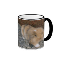 Cute little brown lop mugs