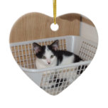 Cute, Little Kittens Christmas Tree Ornaments