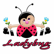 cute little lady ladybug with flowers acrylic cut outs