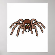 cute little tarantula poster