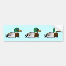 Cute Mallard Male Bumper Sticker