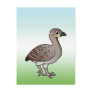 Cute Malleefowl Post Card