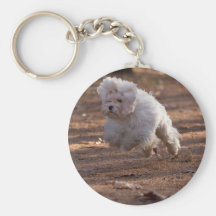 Cute Maltese Dog Key Chain