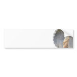 Cute Meerkat  Bumper Sticker