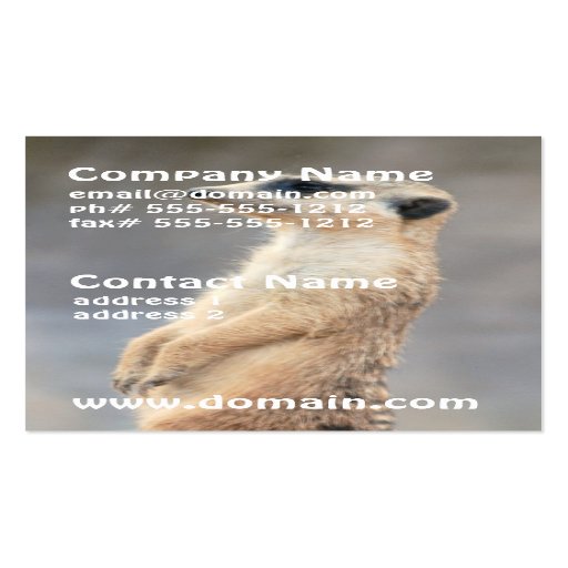 Cute Meerkat Business Cards