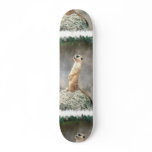 Cute Meerkat  Skateboard