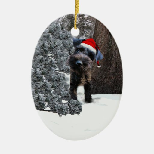 cute miniature schnauzer christmas ornament zazzle cute miniature schnauzer christmas ornament zazzle