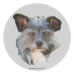 Cute Mixed Breed Mutt Dog Photo Sticker Label